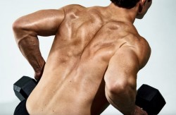 м'язи спина тренування