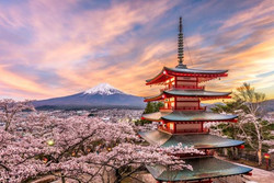 япония, плата, турист, пребывание, страна