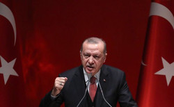 эрдоган мусульманский мир макрон