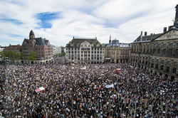 нидерланды протест